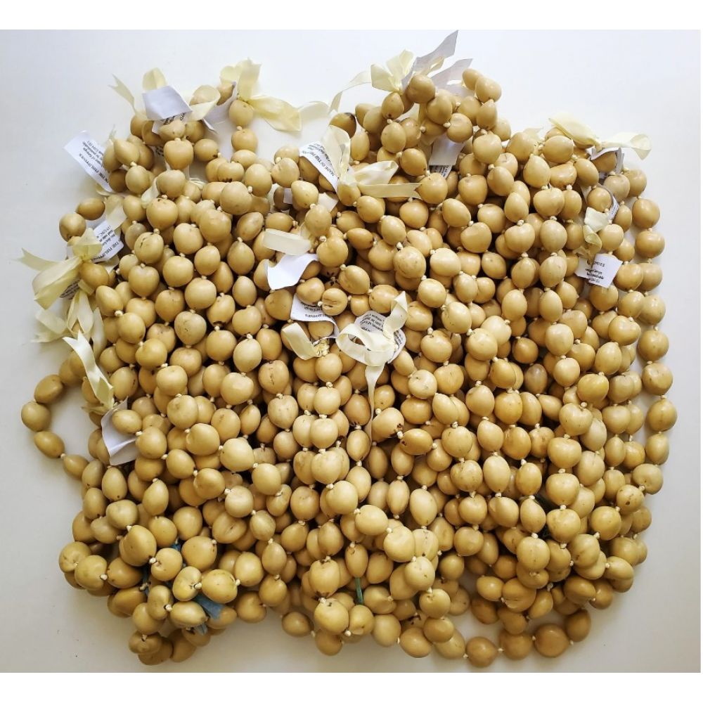 100 Pcs Best Quality 32" NATURAL-BEIGE Kukui Nut Necklaces Leis Wholesale