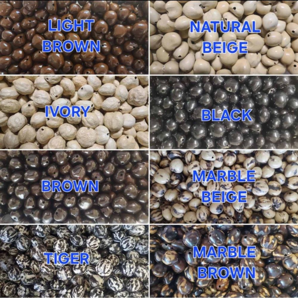 Loose Kukui Nuts