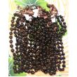 KUKUI NUT LEI WHOLESALE