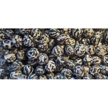 32 Pcs TIGER Loose Real Kukui Nuts