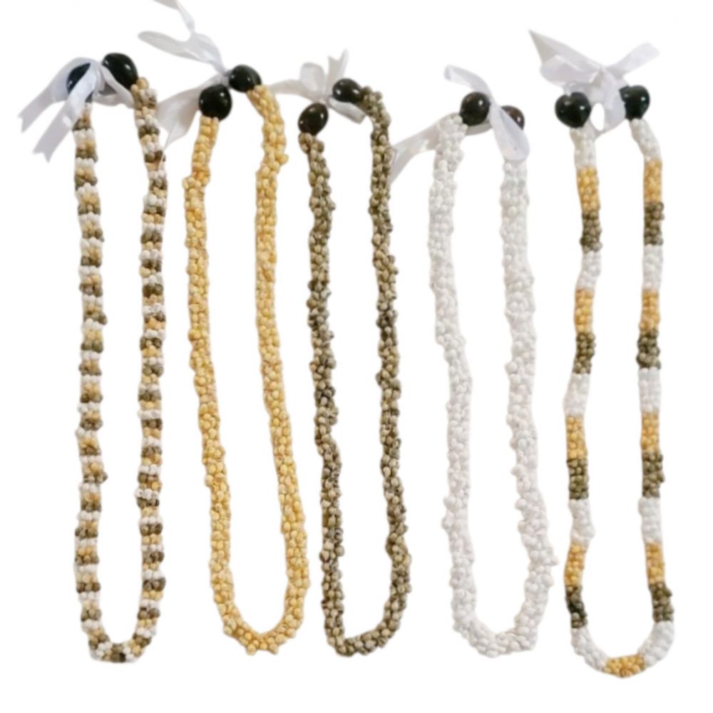 Mongo Shell with Kukui Nut Lei Necklace