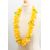 YELLOW WITH WHITE TIPS  +