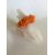 ORANGE  +