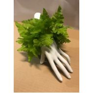 FERN WRISTBAND