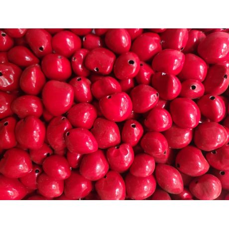 32 Pcs BROWN Loose Real Kukui Nuts