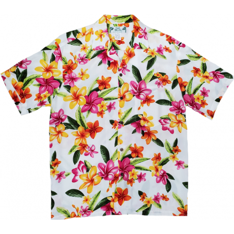 Happy Plumeria White